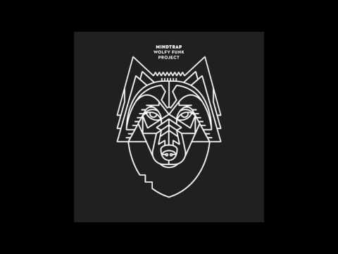 Wolfy Funk Project - Ballast