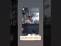 Sex Web Series