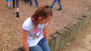 Mean girls bully video for my school