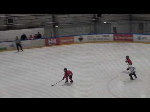 HC Panter 05/06 – Narva PSK 1 05/06  4-9 (3-4; 1-3; 0-2)  08.02.2016