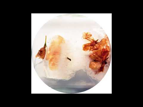 Bas Amro - Languor [OBQ006]