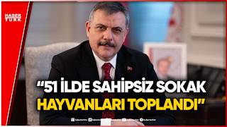 Mustafa Çiftçi: Sokak Köpeği Sorunu Yıl Sonu Bitiyor
