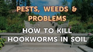 How to Kill Hookworms in Soil