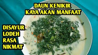 RESEP LODEH DAUN KENIKIR MUDAH, DAN TIPS AGAR DAUN TETAP HIJAU