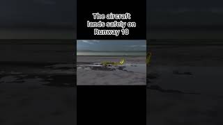 Spirit Airlines Flight 696 #plane #crash