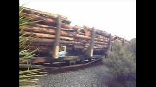 preview picture of video 'Helensville Log Train.wmv'