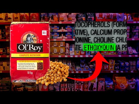 Your Pet’s Food Is Killing Your Pet | Ol’ Roy Pet Food Cases