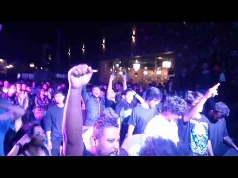 Ragnhild - Death of a warrior + Amon Amarth Covers