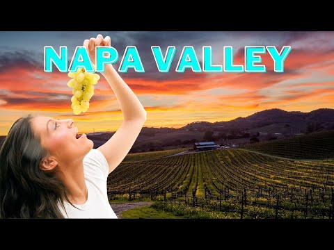 Top 5 Best Hotels in Napa Valley | Wine Travel Hotels | Best Hotels California