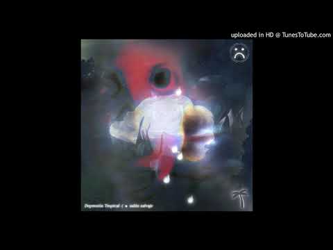 PREMIERE | Depresión Tropical - Salón Salvaje (Tyu Remix) [DMNSIA] 2020