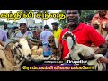 தமிழ்நாட்டின் ஆட்டுச் சந்தை Goat Market Kandili Ti