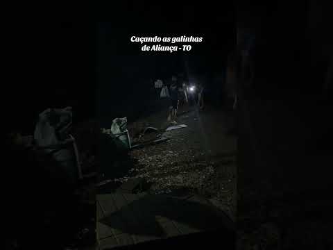 Aliança do Tocantins #shorts