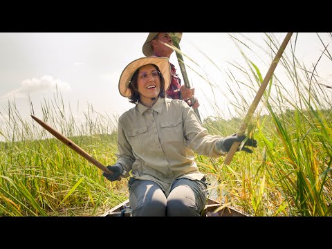 Finding Manoomin: A Search for the Spirit of Wild Rice