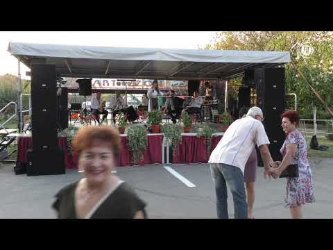 Recital Roberta Selagea - Zilele Comunei Dumbrăvița 2019