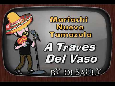 Mariachi Nuevo Tamazula   A Traves Del Vaso DJ Sauly Karaoke