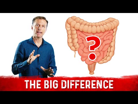 BILE What is BILE and Where is it Produced – Dr Berg