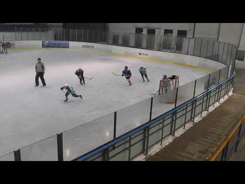 2018 11 11 hokej Veseli