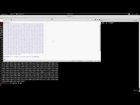 9  Generating Shellcode and Getting Root