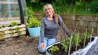 From Seedlings to Summer Harvests 🌿 Garden Planting Day
