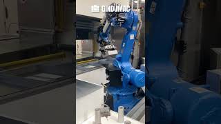 روبوت صناعي Yaskawa ES165D | صورة 5 - Machineryline