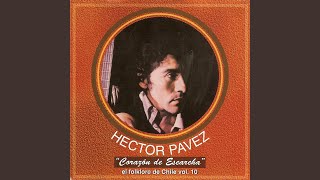 Video thumbnail of "Héctor Pavez - El Tornado (2006 Remaster)"