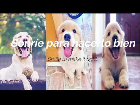 Just smile (Marley Munroe)