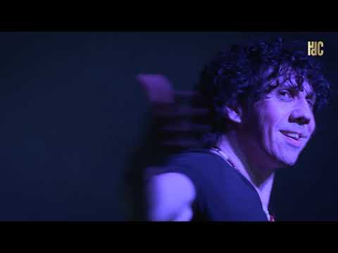 Resumen gira de conciertos ( Animación 100%)