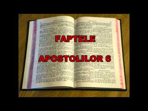 FAPTELE APOSTOLILOR CAPITOLUL 6