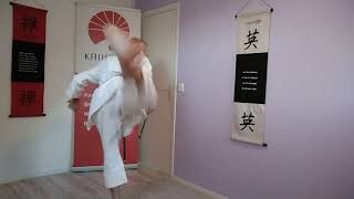 Ushiro-geri de draai