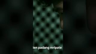 Download lagu Ngopi sek Ben Padang mripate jembar rejekine #shorts #katakatabijak #katakatajawa mp3