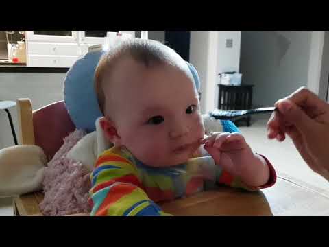 (2018) Owen is eating