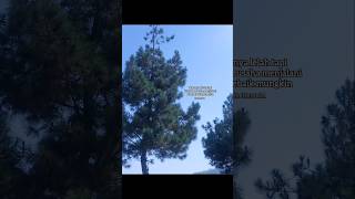 Download lagu jiwanya lelah #story #storysad #shorts #shortvideo #shortstory #fyp #fypage #bismillah #semangat mp3 Download lagu jiwanya lelah #story #storysad #shorts #shortvideo #shortstory #fyp #fypage #bismillah #semangat mp3