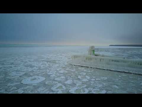 Roja 07.02.2026. 4k video