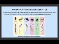 Biology Evolution 1