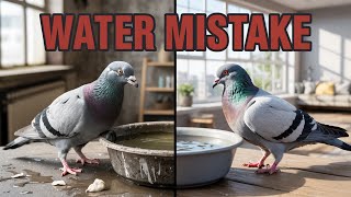 Why Most Bird Owners Get Water WRONG!