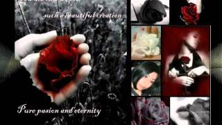 De ahora en Adelante.wmv