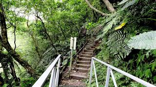 烏來福山部落步道漫遊 2025年9月20日週六⛅️