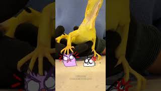 BICHINHO NOVO #shorts @maddiedanceparty