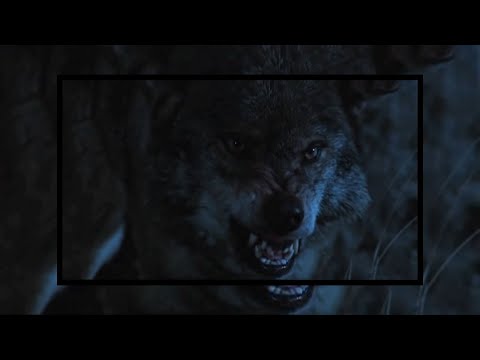 Ű Z Ő közr. Sör és Fű