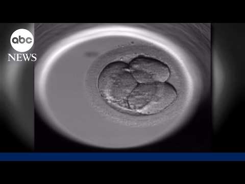 One couple’s fight over embryos plays out in New York courts