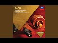J.S. Bach: Concerto for Oboe d'Amore, Strings & Continuo in D Major, BWV 1053R - Reconstr. Mehl...