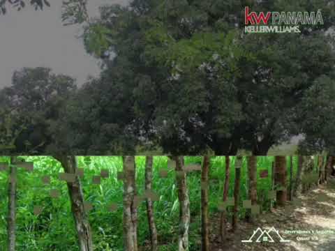 ALANJE CHIRIQUÍ TERRENO18,244 EN VENTA