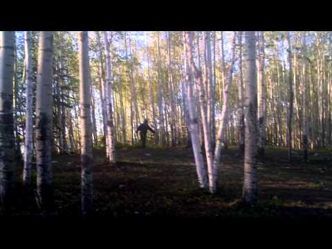 Norway House Bigfoot Video