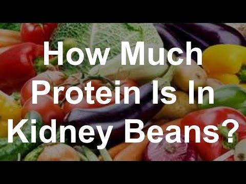 download lagu mp3 mp4 How Much Protein In Beans, download lagu How Much Protein In Beans gratis, unduh video klip How Much Protein In Beans