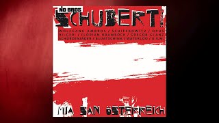 "Mia san Österreich" - Pure Steel Records / 2020