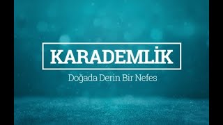 Kütahya Domaniç Ilıcaksu Mesire Alanı