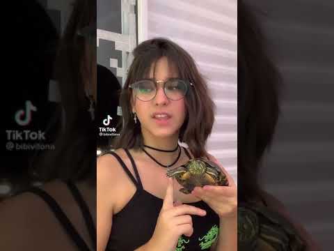 Manda a 🐢 gemendo