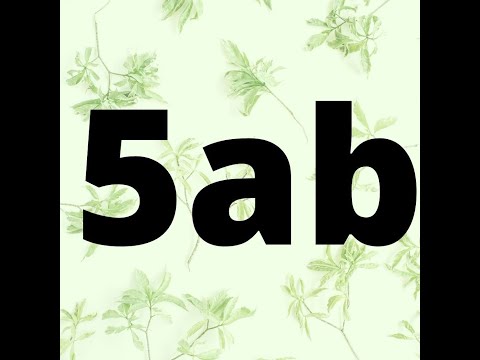 BRAINY 5 unit 4 Chores