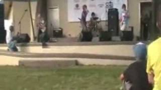 Wasp (The Automatic Androids)