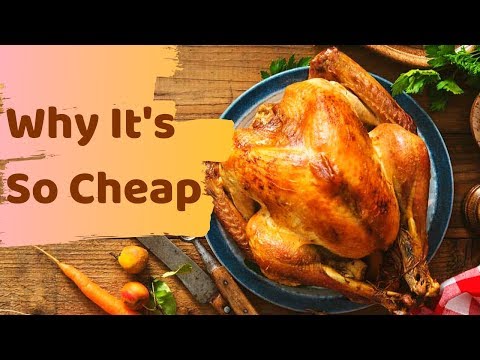 download lagu mp3 mp4 Thanksgiving Turkey Price, download lagu Thanksgiving Turkey Price gratis, unduh video klip Thanksgiving Turkey Price